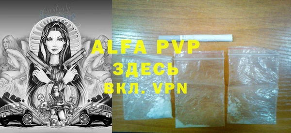 индика Абинск