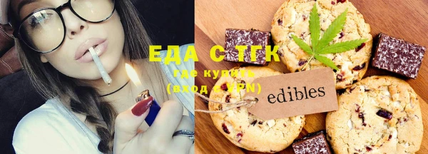 индика Абинск