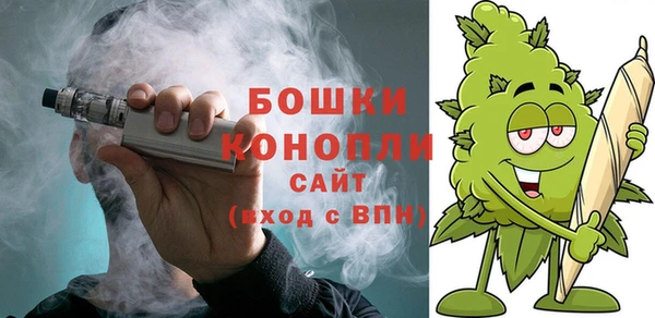 apvp Алексин