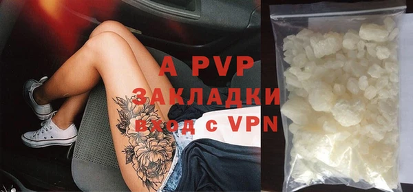 прущие крисы Покачи