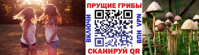 где продают Чердынь Галлюциногенные грибы MAGIC MUSHROOMS